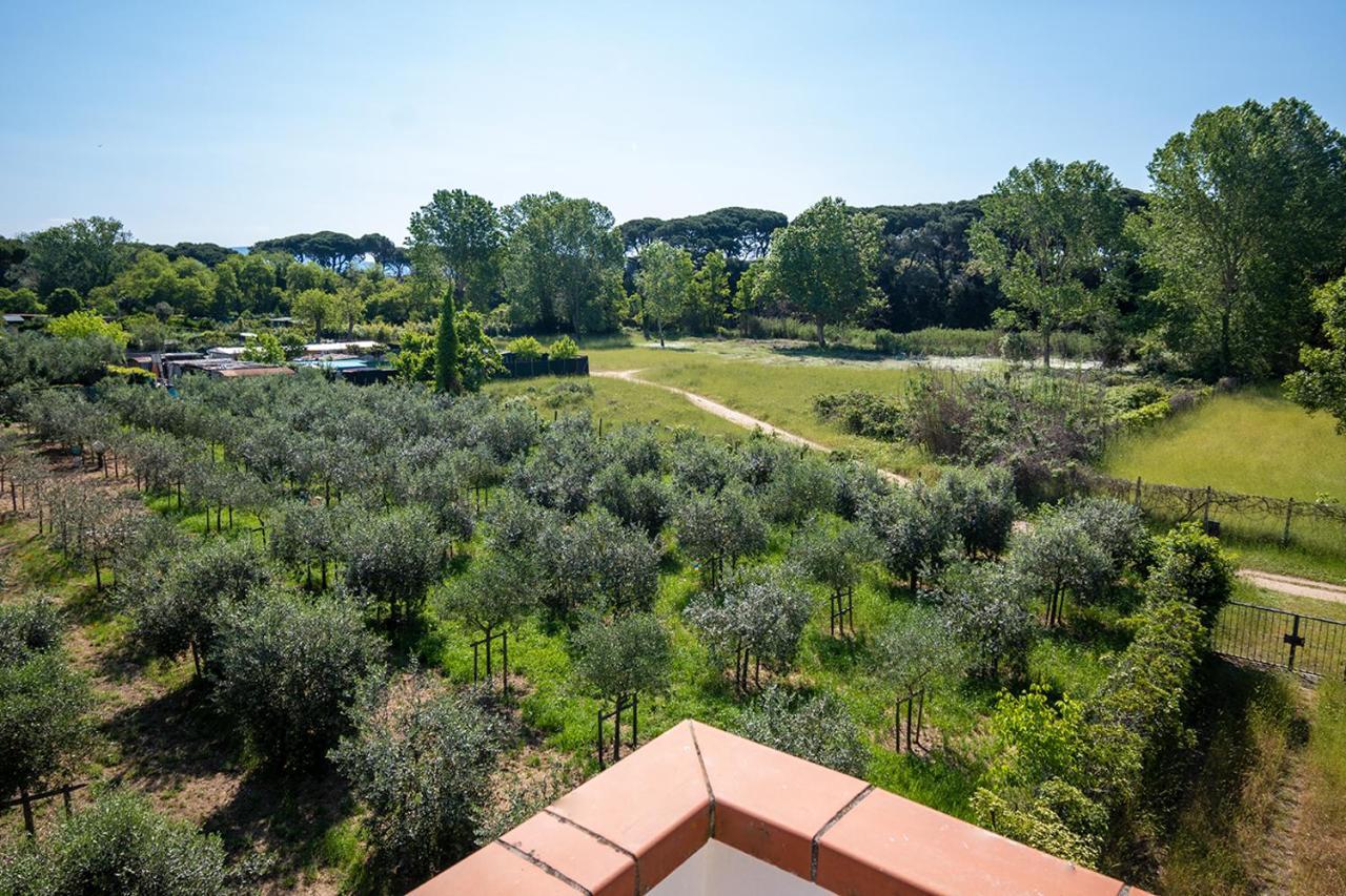 Appartement Attico Di Torsten à Torre del Lago Puccini Extérieur photo